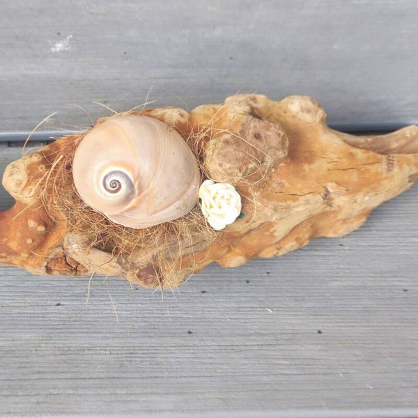 Schwemmholz Unikat *22