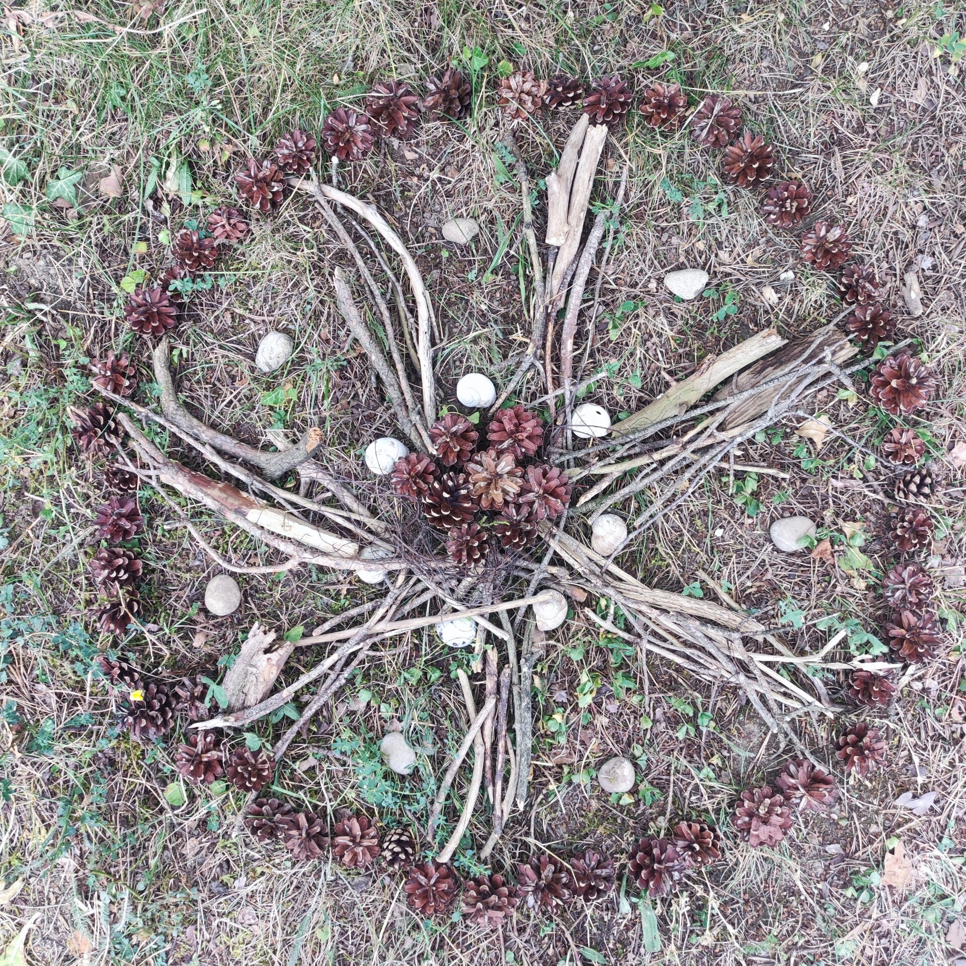NATUR  PUR Mandala