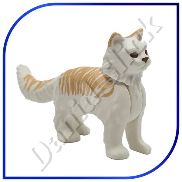 Gato Blanco Rayas Angora Persa
