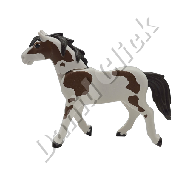 Caballo Pinto Blanco y Marrón