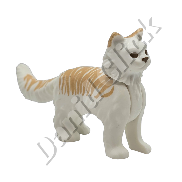 Gato Persa Blanco y Naranja
