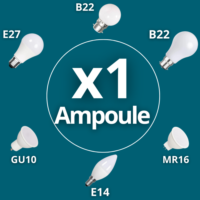 Remplacement d’une ampoule à domicile – Weppes | Murisa.fr