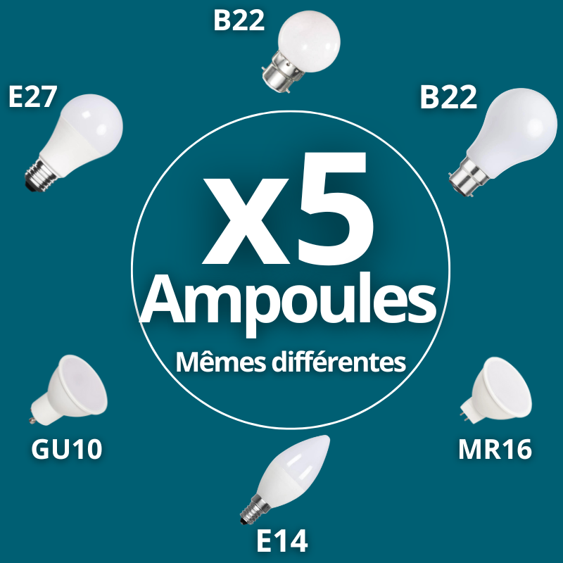 Remplacement de cinq ampoules à domicile – Weppes | Murisa.fr