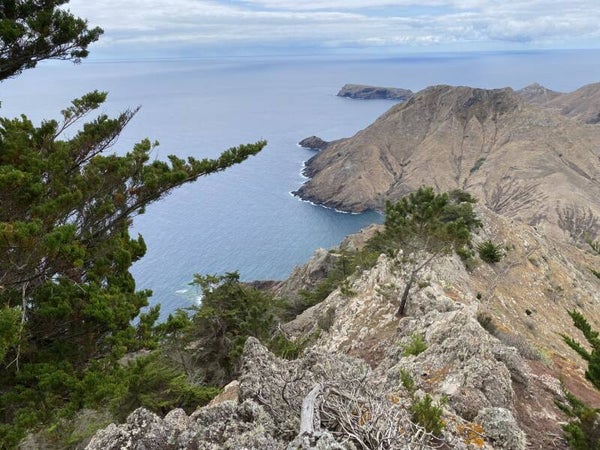 1. Pico Branco and Terra Chã walk. Cliffs and towering views over land and sea