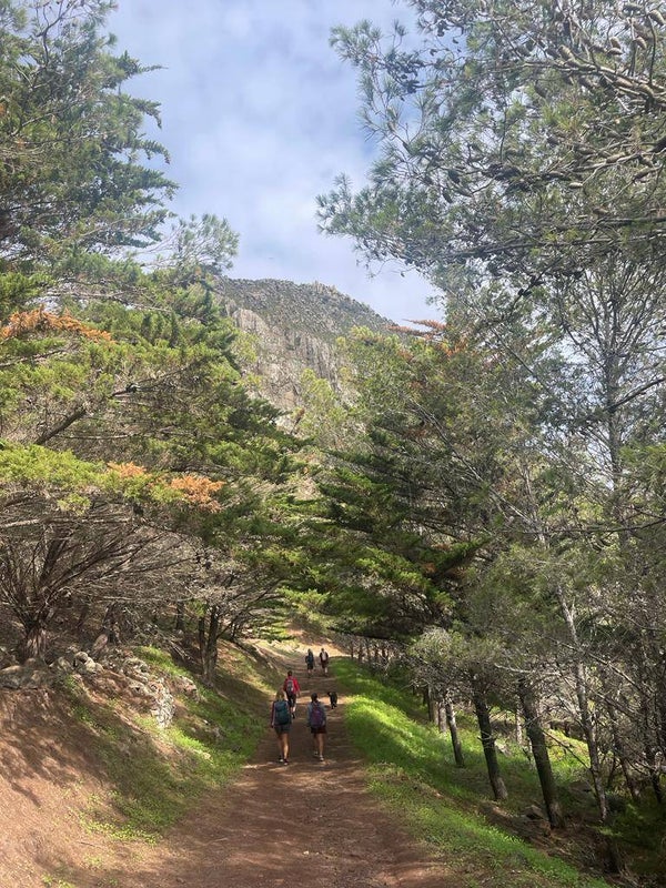 11. Cabrita. Valley of bird song