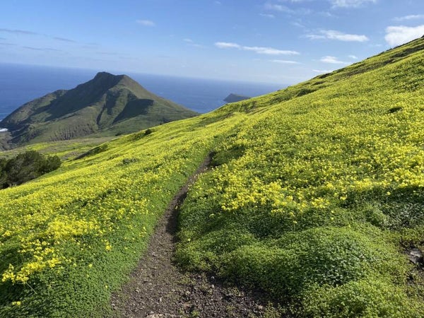 7. Pico do Facho. 360° walk around Porto Santo's highest peak