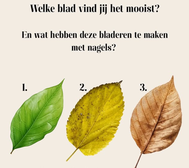 droogte-droog-nagelriemolie-nagels-verzorgen-voeden