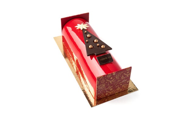buche vanille framboos20252026