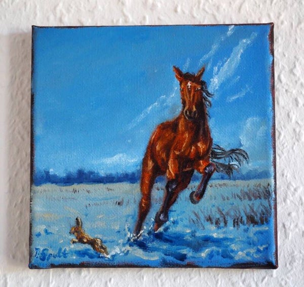 Pferd im Schnee