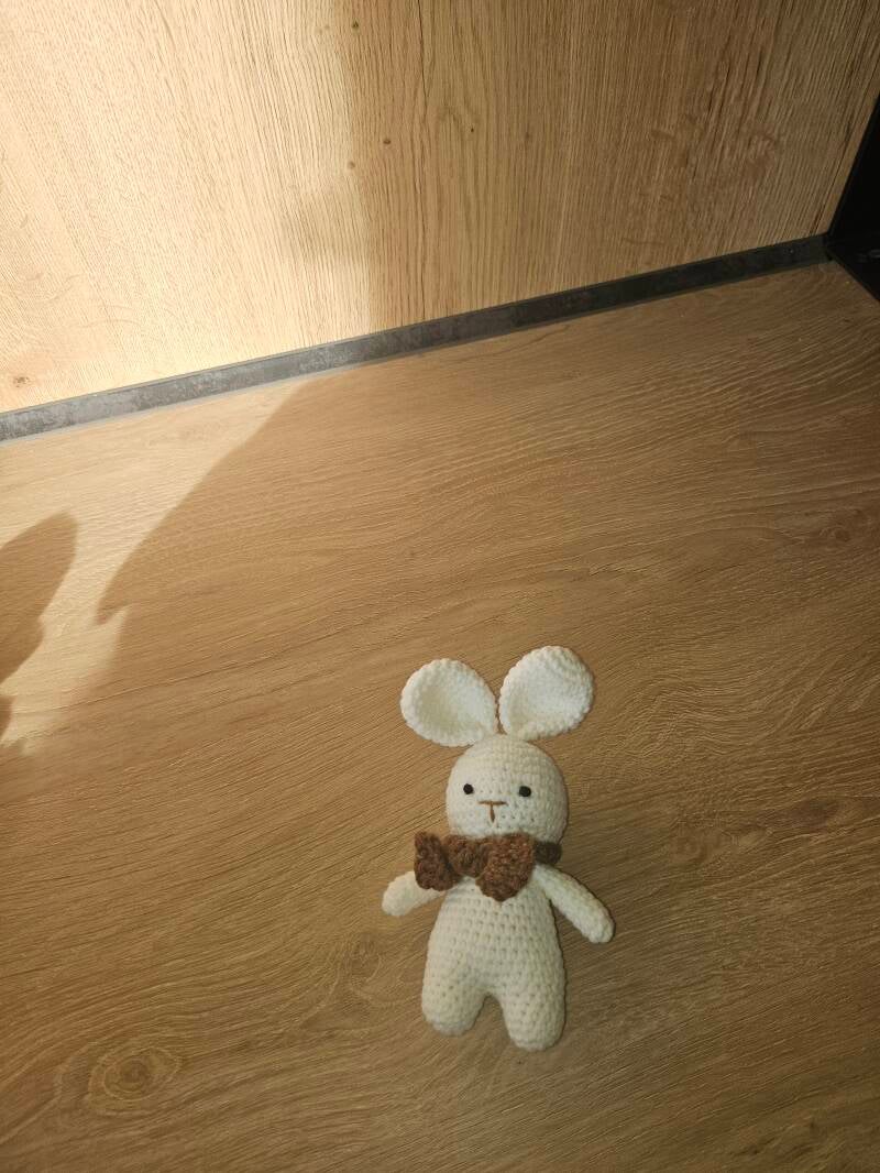 🧸 Petite peluche à accrocher – Le compagnon du doudou 🧸