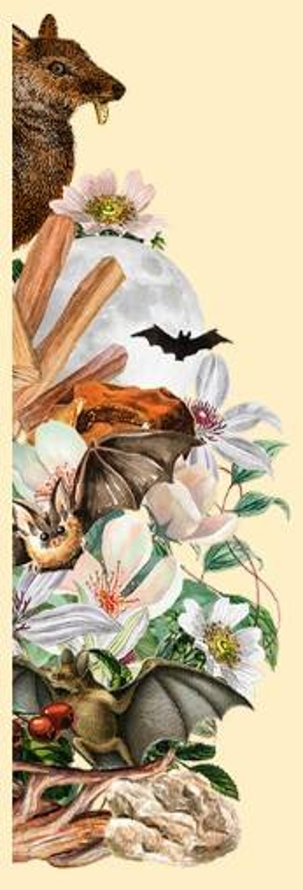 Fondant parfumé Dance des vampires