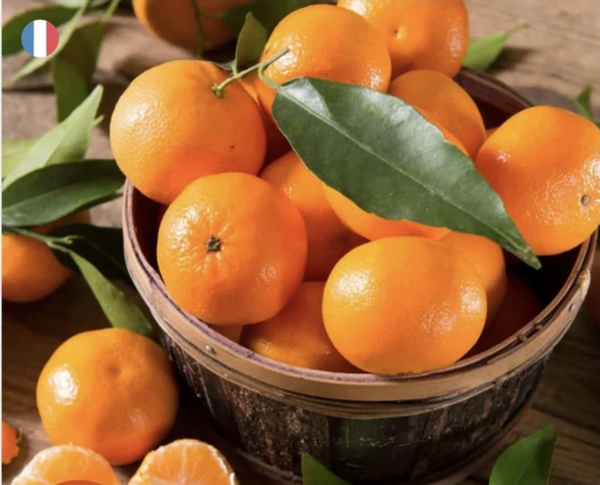 Fondants parfumées mandarine