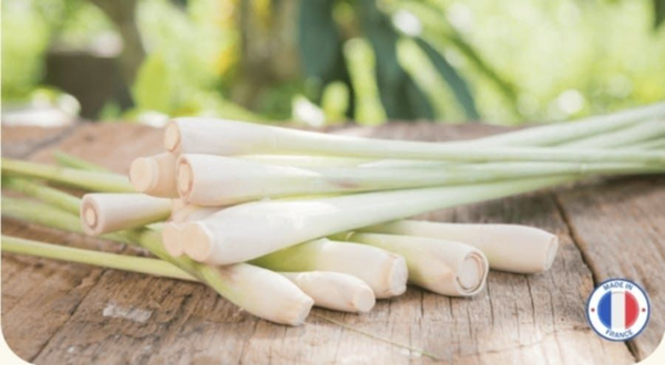 Fondants Citronnelle