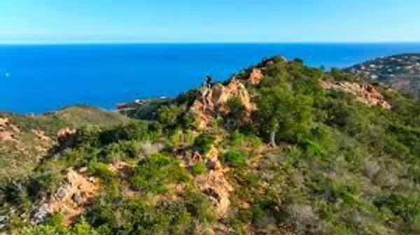 Fondants parfumée balade provencale