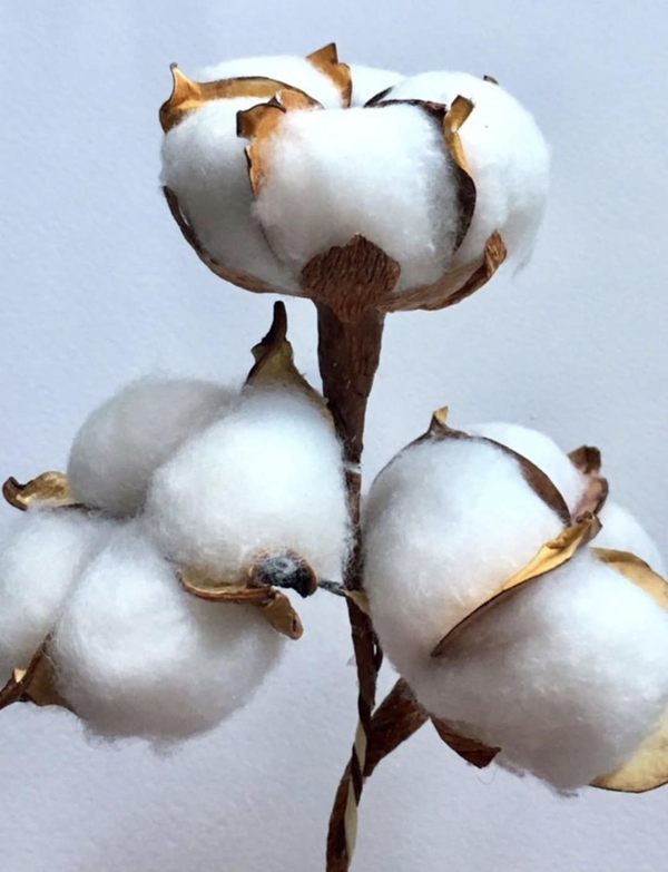 Fondant parfumée Fleur de coton