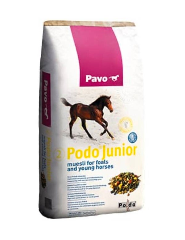 Pavo Podo Junior
