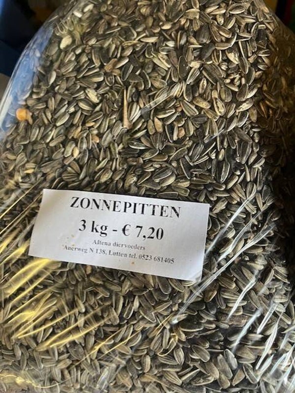 Zonnepitten (witte zak)