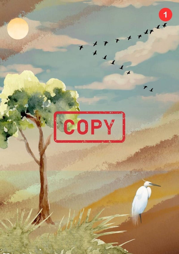 Kies je favoriete witte vogel