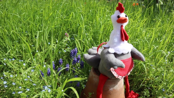 PATRON de la POULE