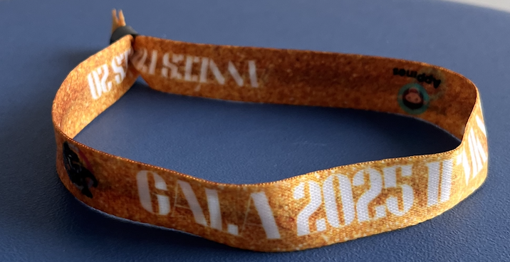 bracelet-gala-standard-tb6ees.png