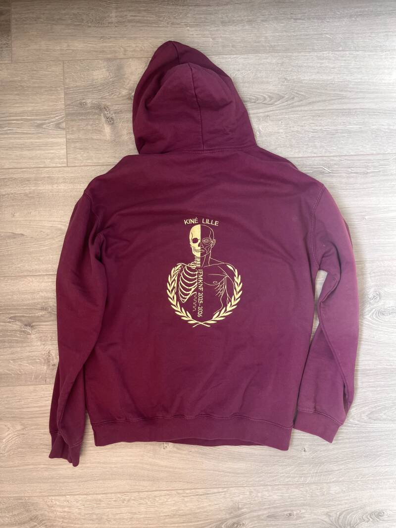 pull-alekxtra-arr-standard.jpg