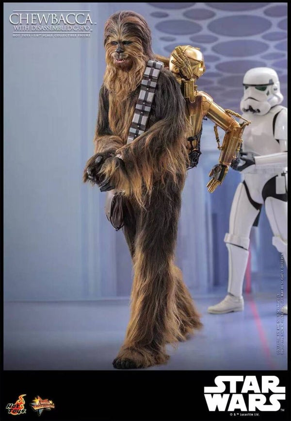 1/6 HOT TOYS CHEWIE WITH 3P0