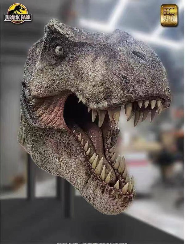1/1 ECC  T=REX HS