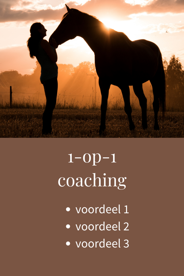 1-op-1 coaching