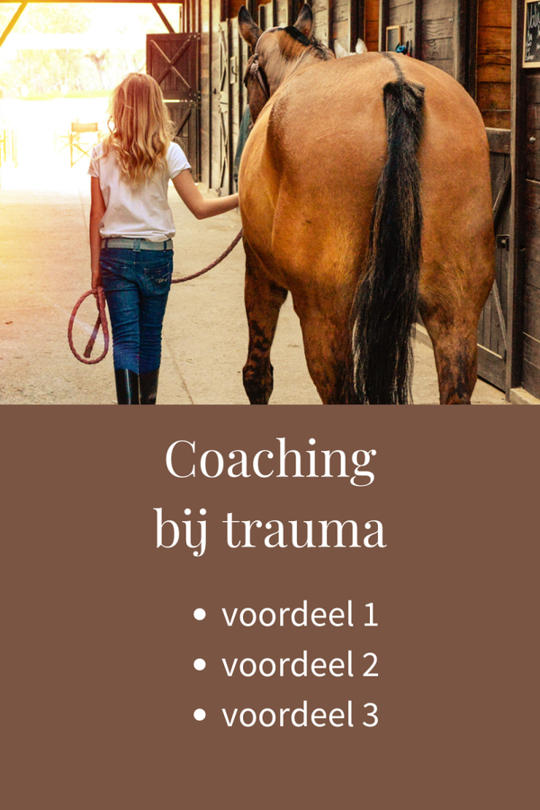 Coaching bij trauma