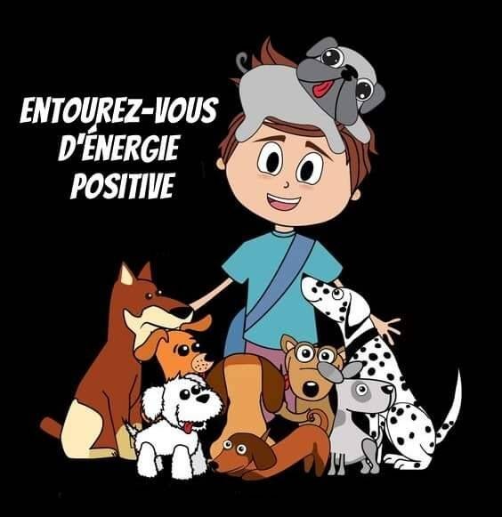 ebergie-positive-standard.jpg