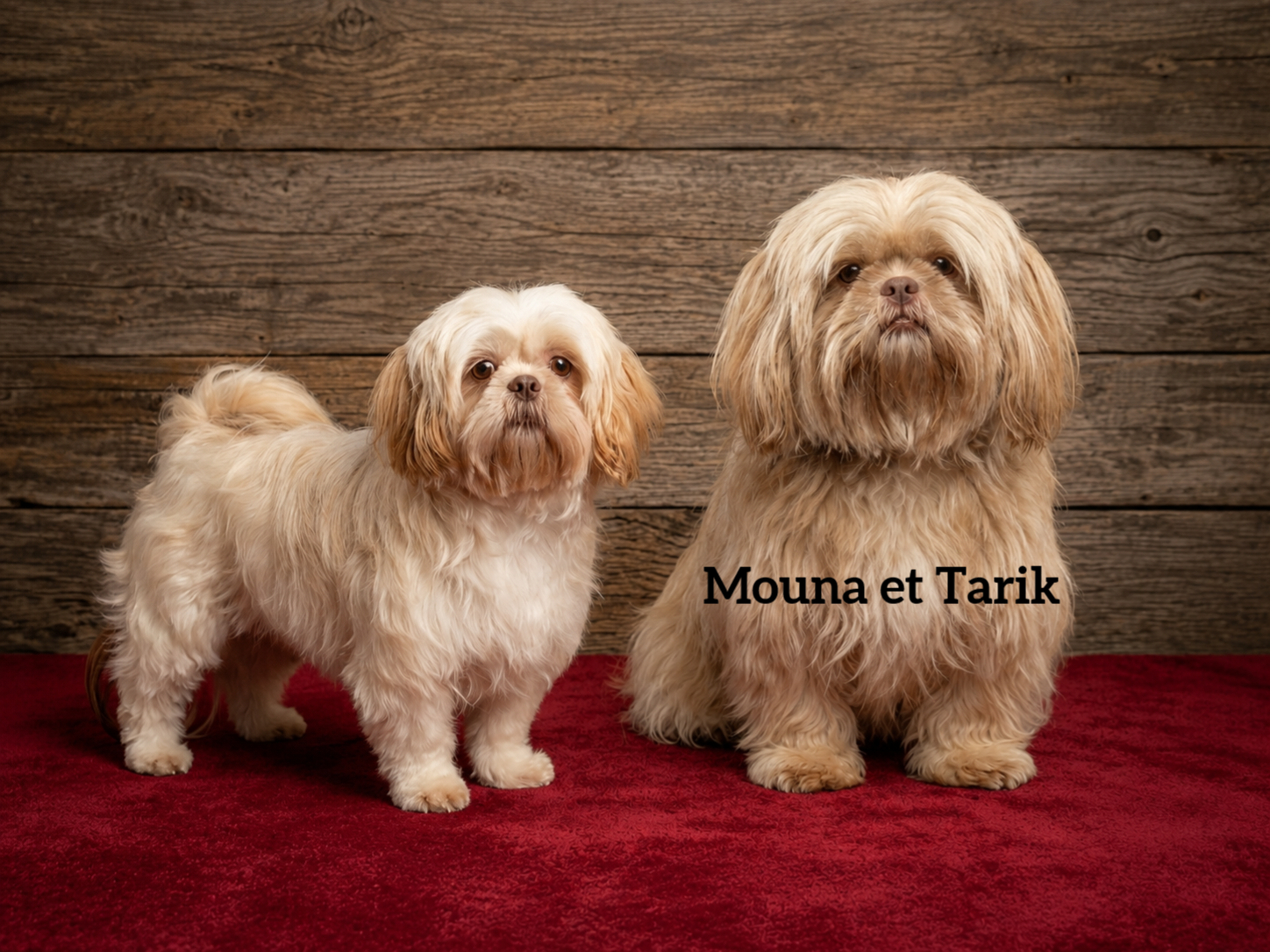 Mouna et Tarik