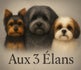 aux 3 élans