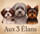 aux 3 élans