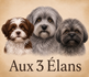 aux 3 élans