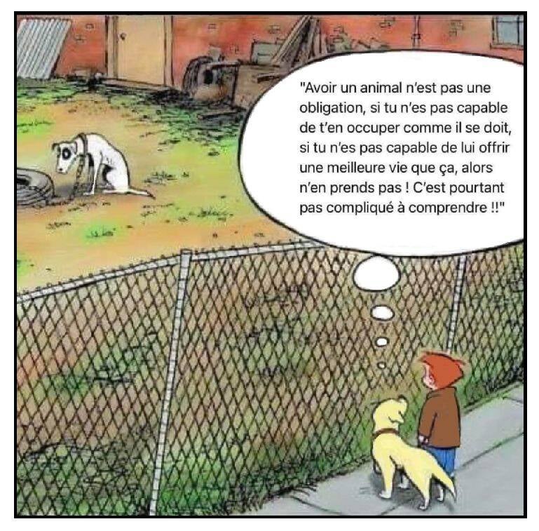 prend-pas-de-chien-pr-faire-cela-standard.jpg