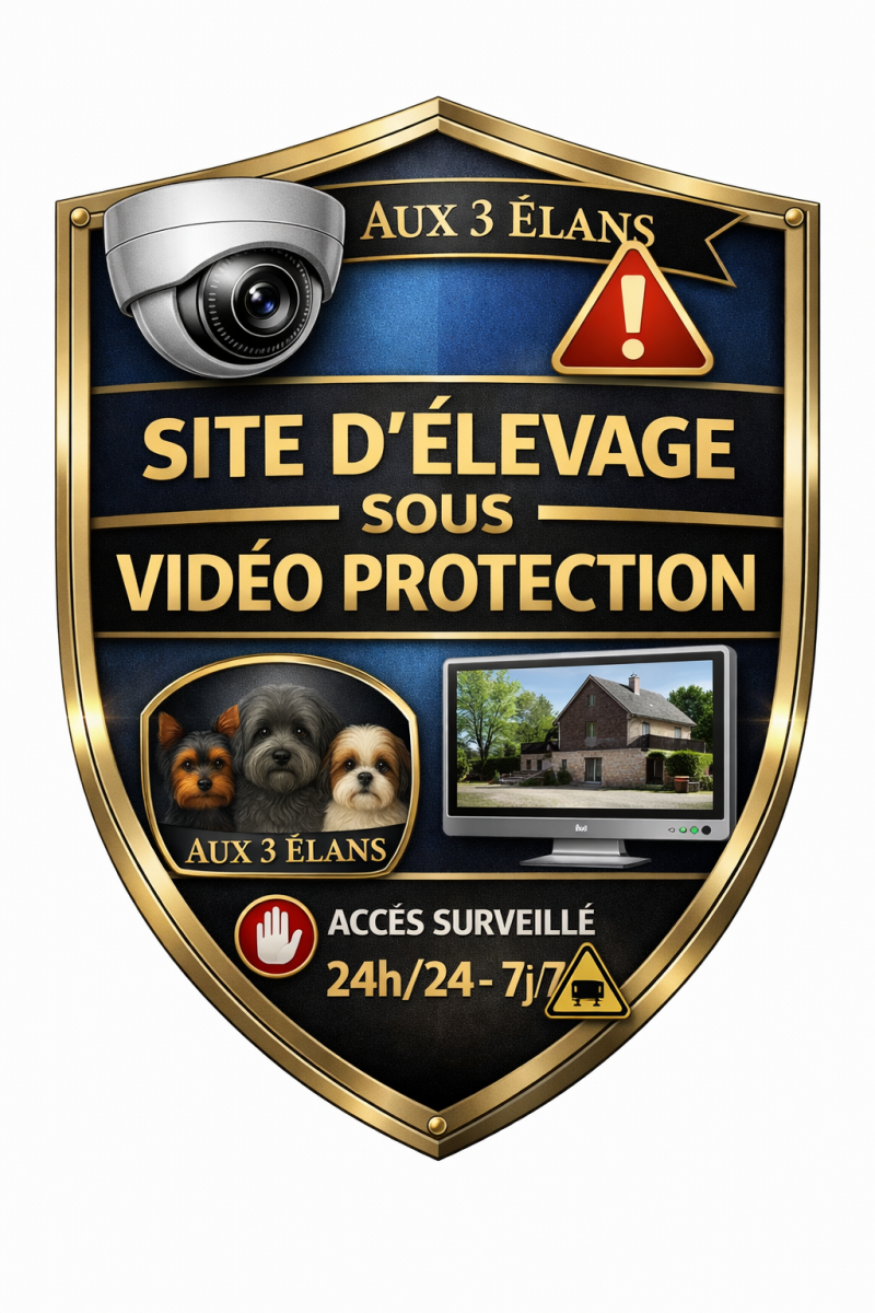 site-d-levage-sous-vid-o-protection-standard-58e94p.png