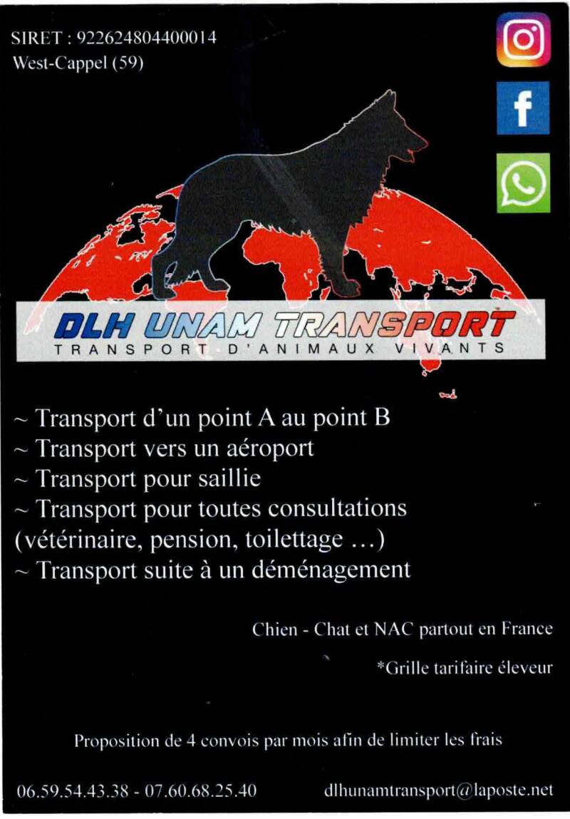 transport-animaux-standard.jpg