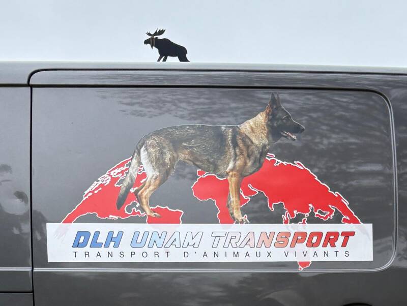 transport-browny-standard.jpg