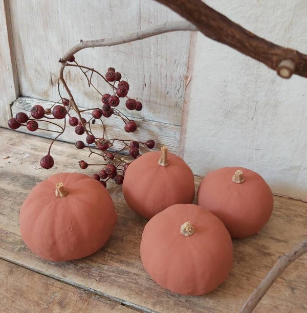 Gedroogde kalebas rood