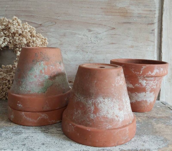 Terracotta potje