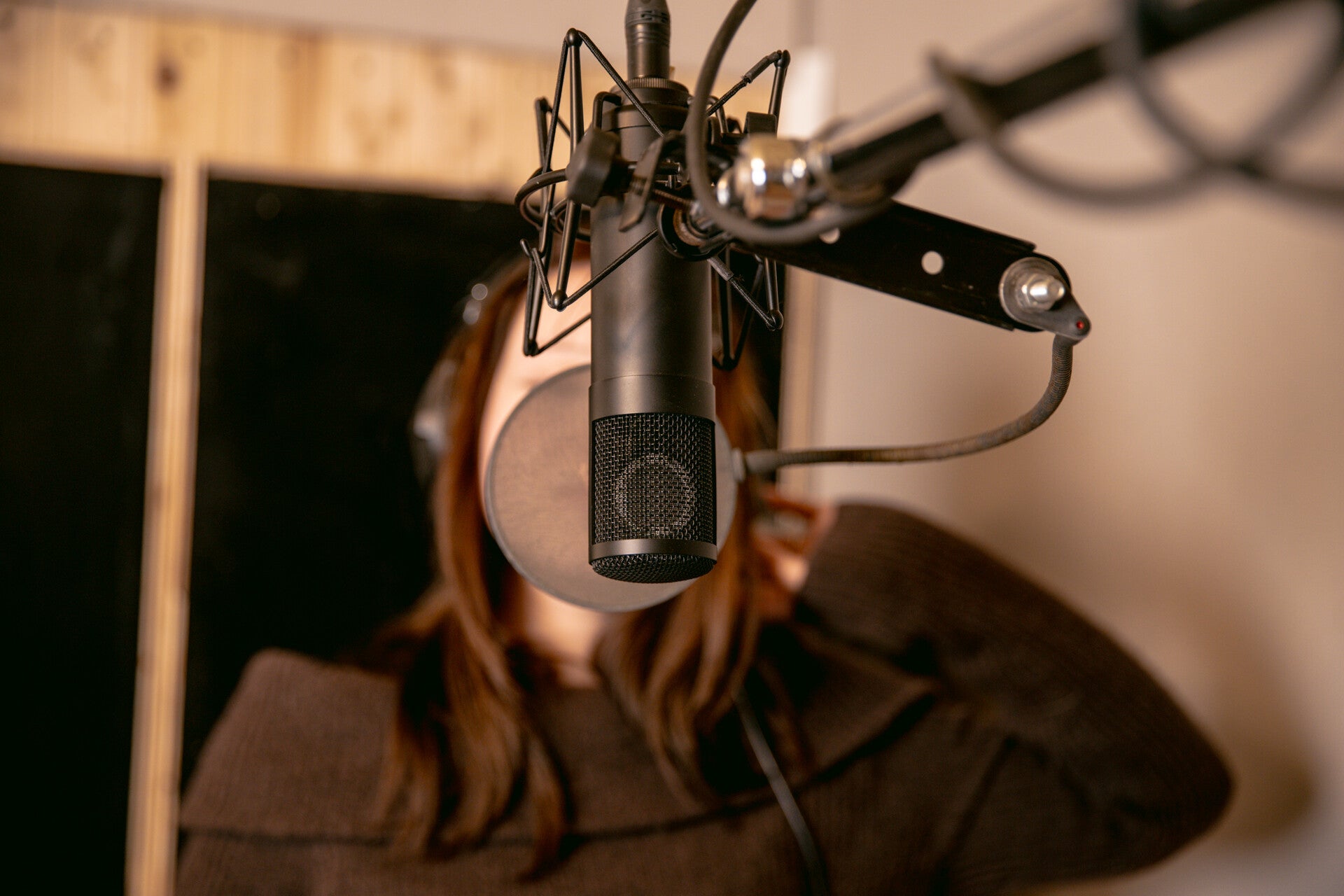 Professionelle Musikproduktion und Mastering