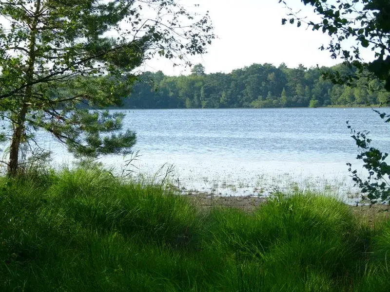 étang  des Levryrs à Nouan le Fuzelier