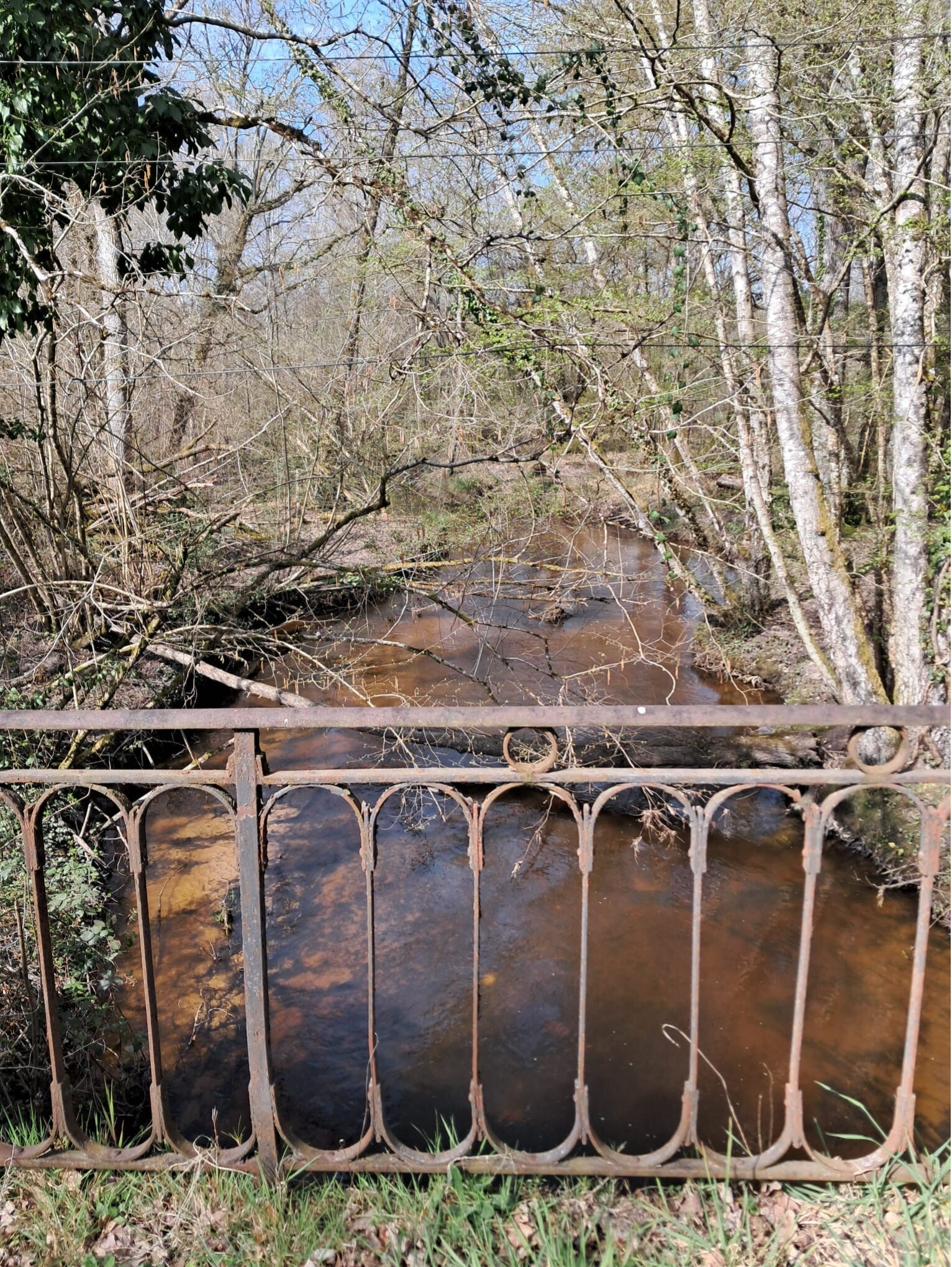 petit-pont-traversant-un-ruiseau-en-sologne.jpg