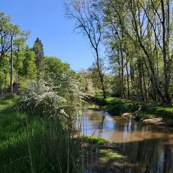 coin nature en sologne avec riviere et foret au calme