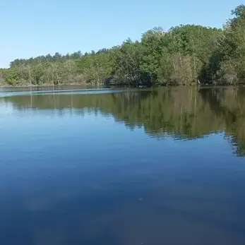 grand etang en sologne paysage nature avec arbres et eau calme