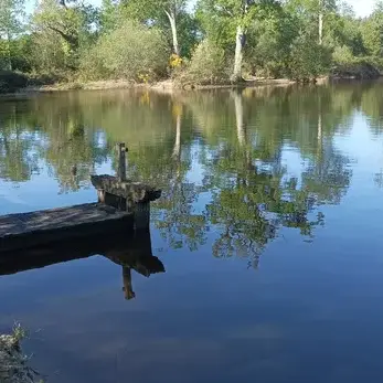 etang en sologne avec reflets arbres et petit ponton au calme
