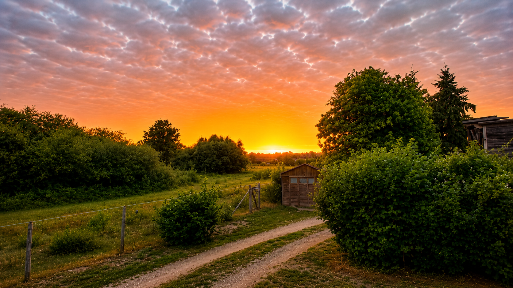 Coucher de soleil au Petit Marais en Sologne, à la lisière de la campagne solognote.