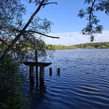 paysage sologne au bord de l eau avec ponton et nature paisible