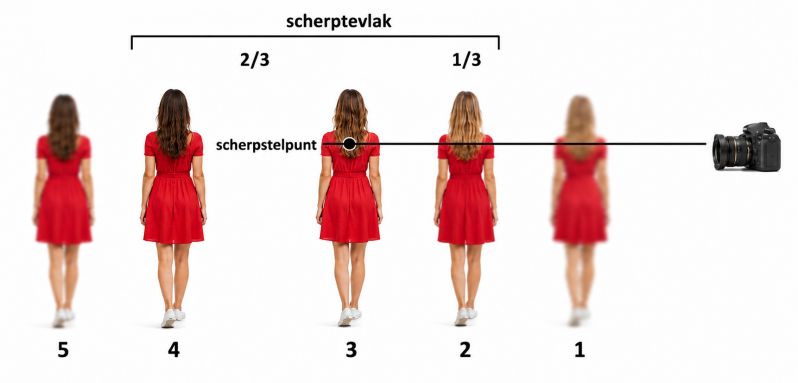 Scherpstelvlak fotograaf Sjouke Hietkamp Leeuwarden