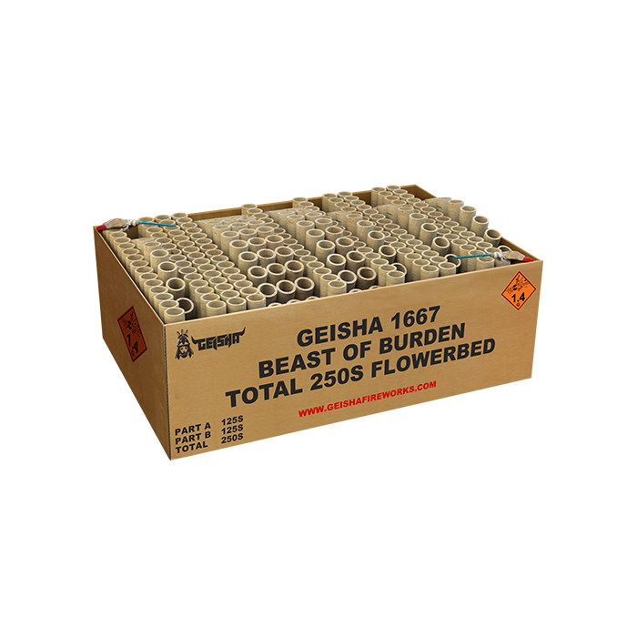 BEAST OF BURDEN 250'S DOUBLE COMPOUND